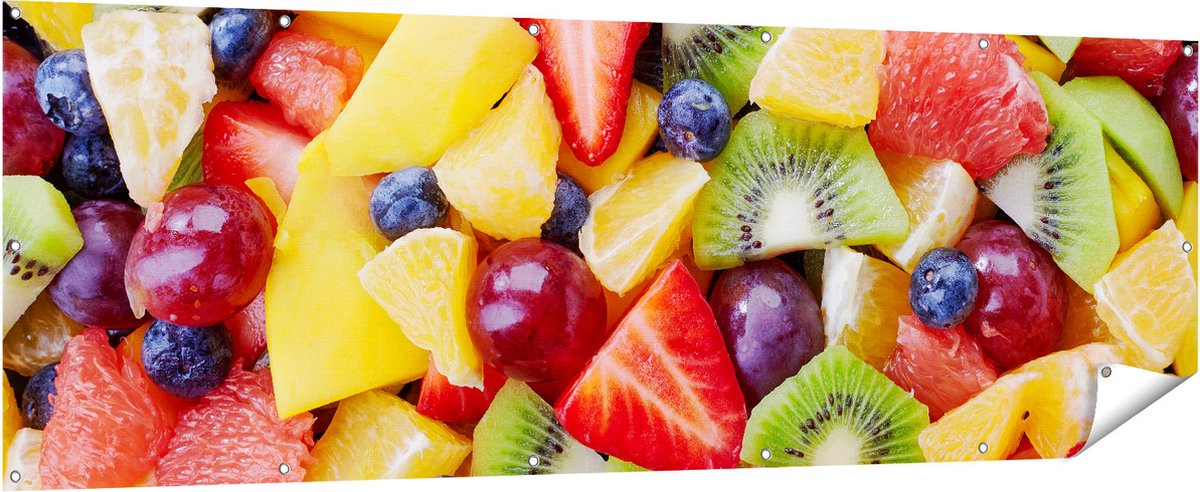 Gards Tuinposter Diverse Kleurrijke Fruit Achtergrond - 210x70 cm - Tuindoek - Tuindecoratie - Wanddecoratie buiten - Tuinschilderij Multikleur