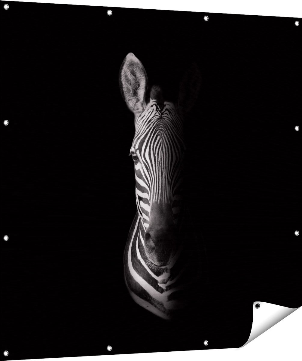 Gards Tuinposter Halve Zebra - Zwart Wit - 120x120 cm - Tuindoek - Tuindecoratie - Wanddecoratie buiten - Tuinschilderij Multikleur