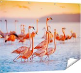 Gards Tuinposter Kudde Flamingo's in het Water - 120x90 cm - Tuindoek - Tuindecoratie - Wanddecoratie buiten - Tuinschilderij
