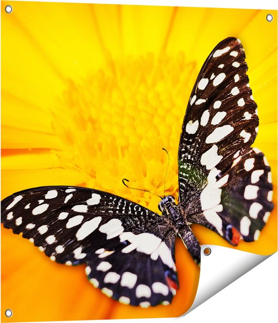 Gards Tuinposter Vlinder op een Oranje Bloem - 70x70 cm - Tuindoek - Tuindecoratie - Wanddecoratie buiten - Tuinschilderij