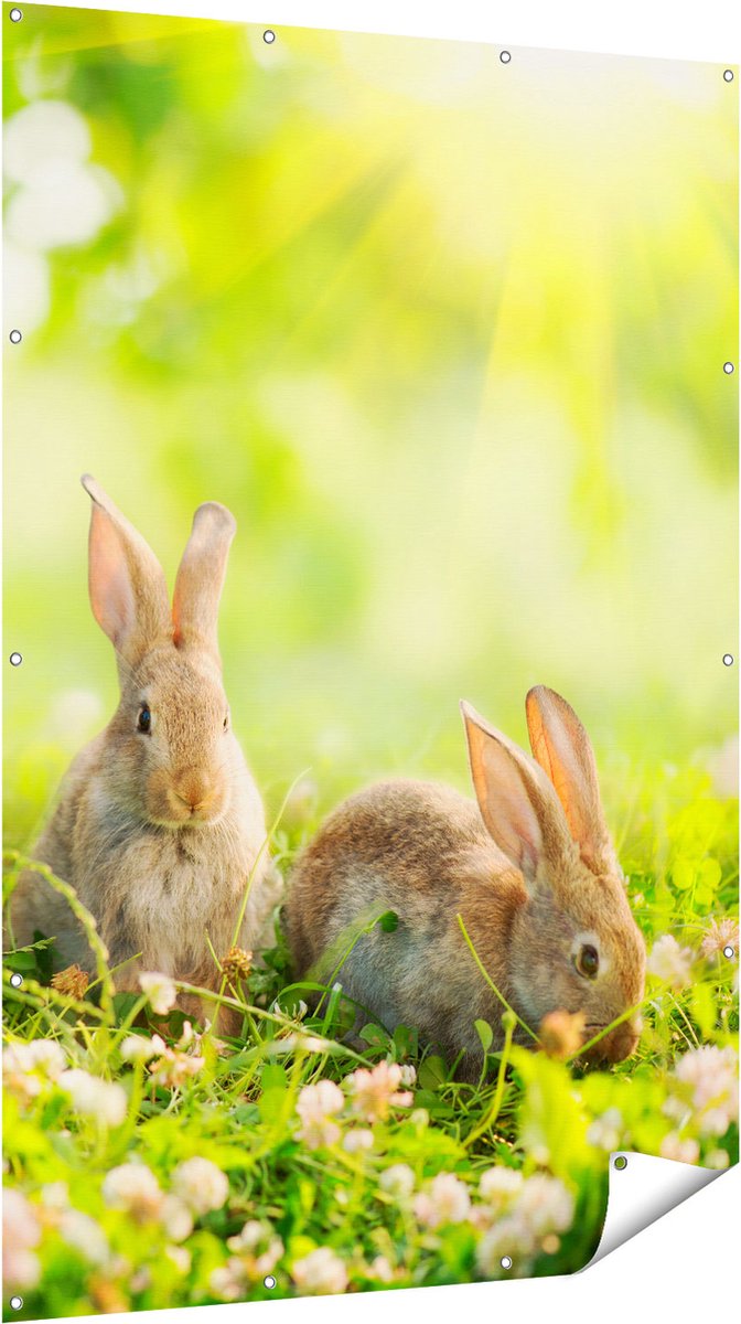 Gards Tuinposter Drie Konijnen op het Gras bij Zonneschijn - 120x180 cm - Tuindoek - Tuindecoratie - Wanddecoratie buiten - Tuinschilderij Multikleur