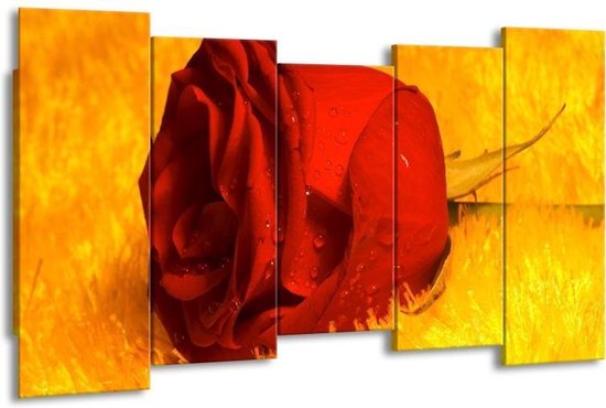 Peinture sur toile Rose | Rouge, jaune, or | 150x80cm 5Liège