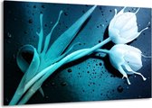 Schilderij Op Canvas - Groot -  Tulp - Blauw, Wit - 140x90cm 1Luik - GroepArt 6000+ Schilderijen Woonkamer - Schilderijhaakjes Gratis