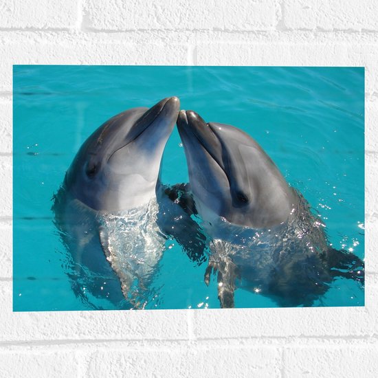 Muursticker - Duo Dolfijnen in de Helderblauwe Zee - 40x30 cm Foto op Muursticker