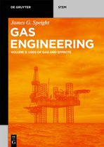 De Gruyter STEM- Gas Engineering