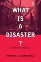 What Is A Disaster?