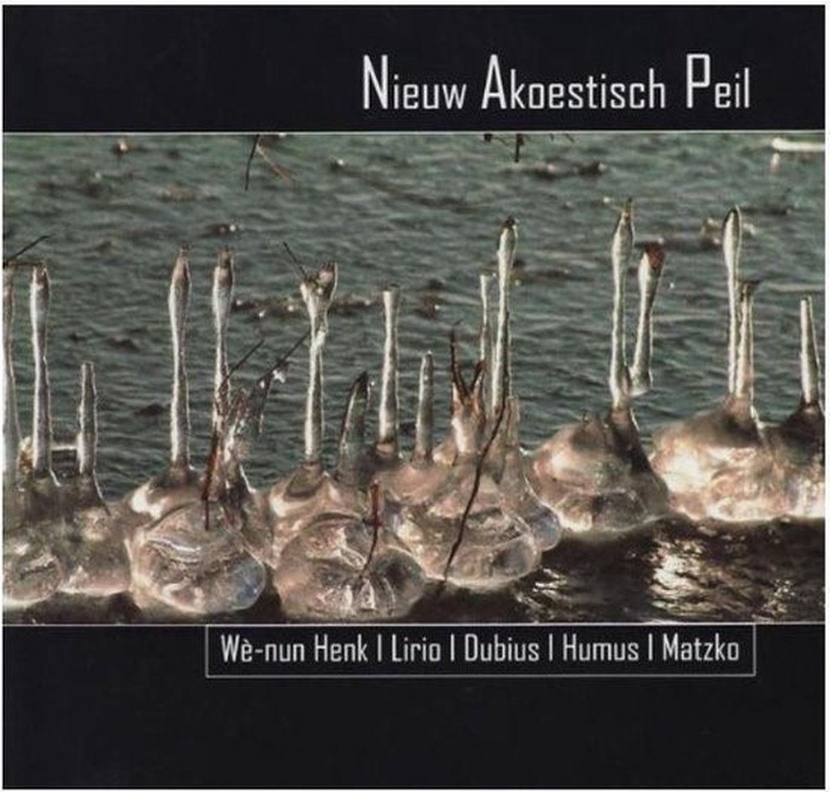 Wè-Nun Henk, Lirio, Dubius, Humus, Matzko - Nieuw Akoestisch Peil (CD)