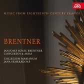 Hanna Blazikova, Collegium Marianum, Jana Semerádová - Brentner: Music From Eighteenth-Century Prague (CD)