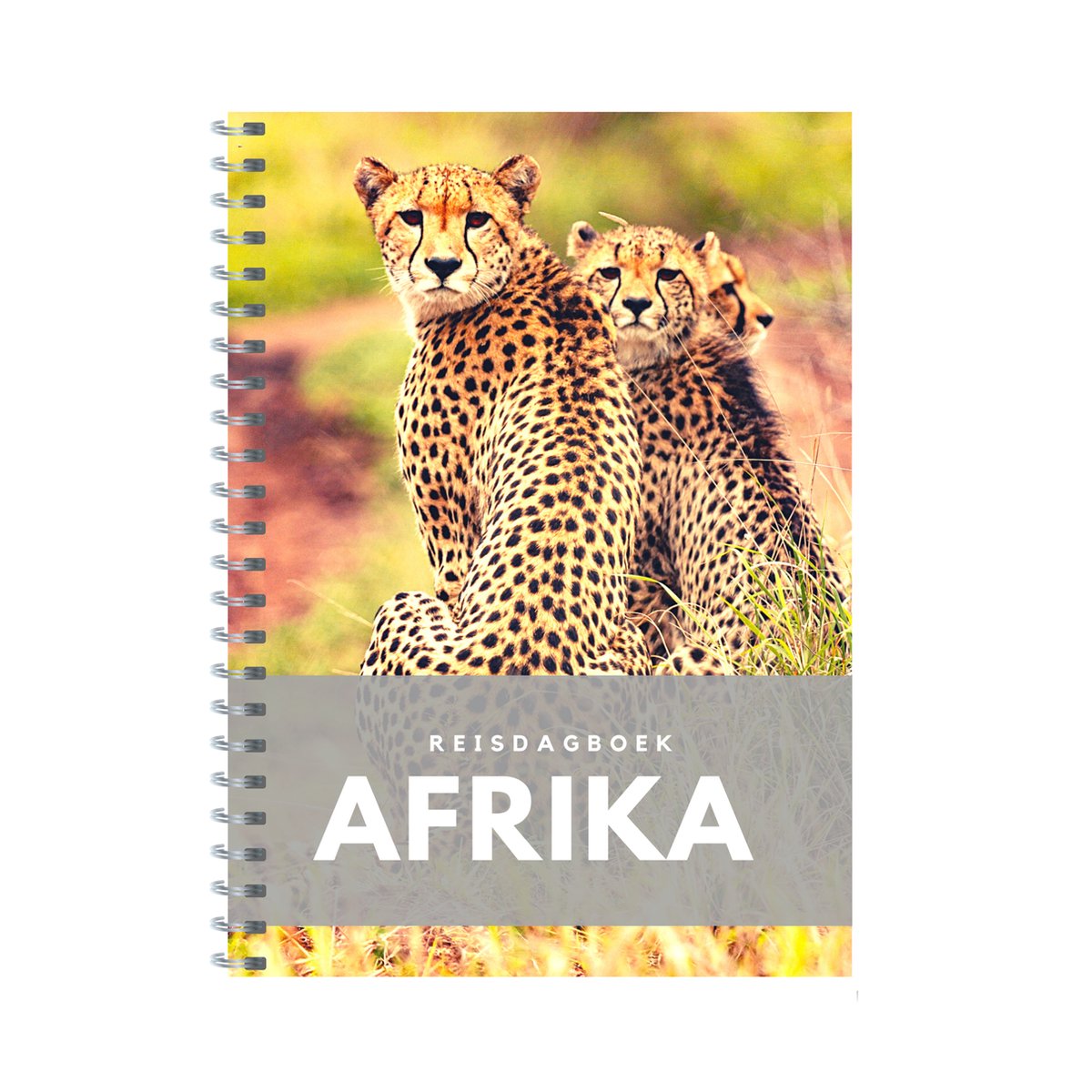 Reisdagboek Afrika (safari)