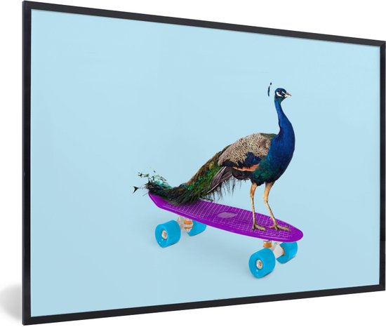 Fotolijst incl. Poster - Pauw - Blauw - Skateboard - Dieren - Grappig - 90x60 cm - Posterlijst