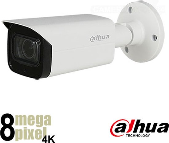 Wifi Dual PTZ Beveiligingscamera voor Buiten met Opname en Bewe