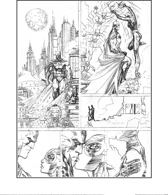 Batman & Catwoman Comic Panels Art Print 40x50cm | Poster
