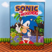 Sonic the Hedgehog - poster met verlichting - met lijst - USB-kabel (31cm x 21,5cm x 3,5cm)