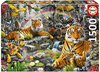 Puzzle Educa Tigres 1500 pièces