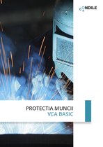 Protectia muncii VCA Basis (Basisveiligheid VCA Roemeens)