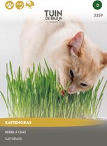 Tuin de Bruijn® zaden - Kattengras - XL verpakking - 15 gram - voordelige keuze
