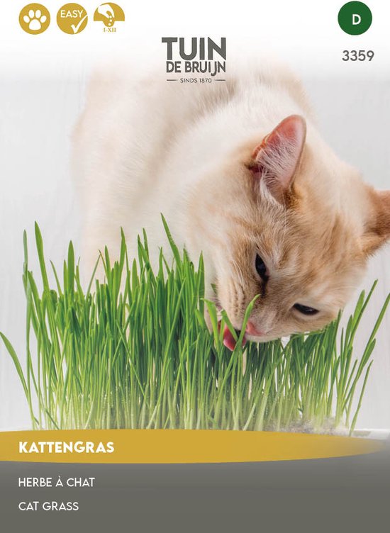 Tuin de Bruijn® zaden - Kattengras - XL verpakking - 15 gram - voordelige keuze - Tuin de Bruijn