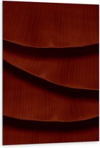 Dibond - Textuur in Rode Opgestapelde Bladeren - 80x120 cm Foto op Aluminium (Wanddecoratie van metaal)