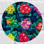 Muursticker Cirkel - Patroon van Gele en Roze Bloemboeketjes - 20x20 cm Foto op Muursticker