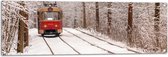 Tuinposter – Rode Tram rijdend door Bos vol Bomen in de Winter - 120x40 cm Foto op Tuinposter (wanddecoratie voor buiten en binnen)
