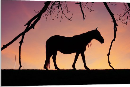PVC Schuimplaat - Silhouet van Paard onder Boom tegen Rozekleurige Lucht - 90x60 cm Foto op PVC Schuimplaat (Met Ophangsysteem)