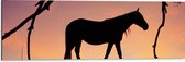 Dibond - Silhouet van Paard onder Boom tegen Rozekleurige Lucht - 90x30 cm Foto op Aluminium (Met Ophangsysteem)