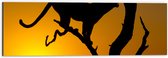 Dibond - Silhouet van Luipaard op Tak tijdens Feloranje Zonsondergang - 60x20 cm Foto op Aluminium (Met Ophangsysteem)