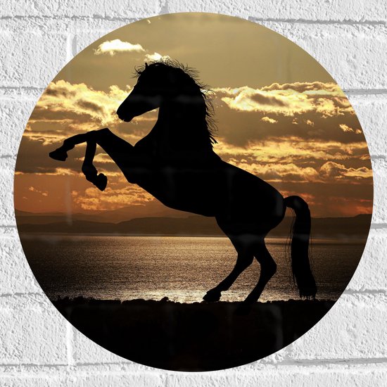 Muursticker Cirkel - Silhouet van Stijgend Paard aan de Kust tijdens Zonsondergang - 40x40 cm Foto op Muursticker