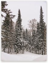Plexiglas Schilderij Snowy Trees