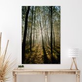 Aluminium Schilderij Sunrise Forest