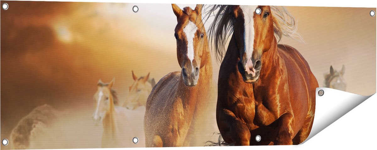 Gards Tuinposter Wilde Paarden in het Zand - 120x40 cm - Tuindoek - Tuindecoratie - Wanddecoratie buiten - Tuinschilderij Multikleur