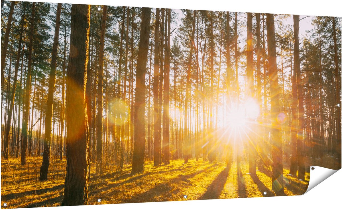 Gards Tuinposter Zonsopkomst in het Bos tussen de Bomen - 200x100 cm - Tuindoek - Tuindecoratie - Wanddecoratie buiten - Tuinschilderij Multikleur