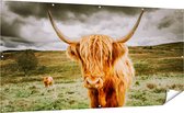 Gards Tuinposter Schotse Hooglanders in de Wei - Kleur - 200x100 cm - Tuindoek - Tuindecoratie - Wanddecoratie buiten - Tuinschilderij