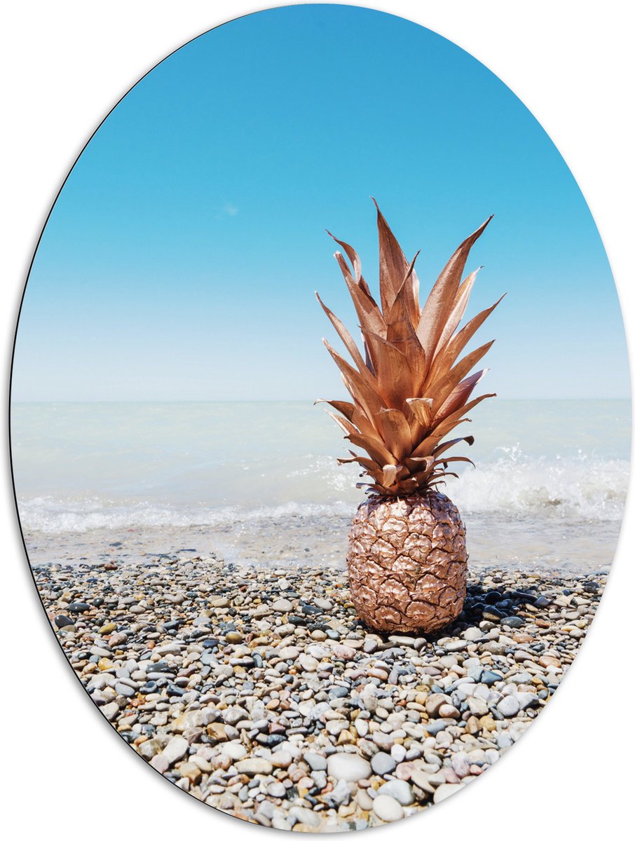 Dibond Ovaal - Ananas op Kiezelstenen - 81x108 cm Foto op Ovaal (Met Ophangsysteem)