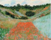 Mini kunstposter - Claude Monet - Papaverveld - 24x30 cm