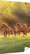 Gards Tuinposter Kudde Bruine Paarden in de Wei - 120x180 cm - Tuindoek - Tuindecoratie - Wanddecoratie buiten - Tuinschilderij