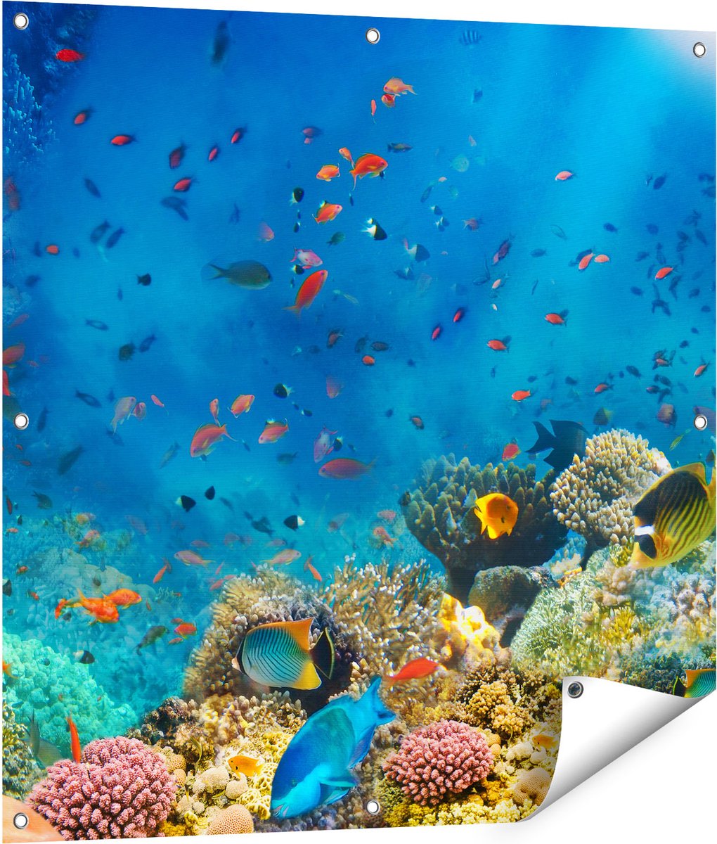 Gards Tuinposter Onderwater Vissen met Koraal in de Zee - 90x90 cm - Tuindoek - Tuindecoratie - Wanddecoratie buiten - Tuinschilderij Multikleur