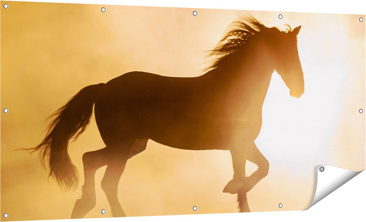 Gards Tuinposter Silhouet van een Paard - 160x80 cm - Tuindoek - Tuindecoratie - Wanddecoratie buiten - Tuinschilderij Multikleur