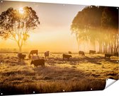 Affiche de jardin Gards Troupeau de vaches dans la prairie avec lever de soleil - 180x120 cm - Toile de jardin - Décoration de jardin - Décoration murale extérieur - Tableau de jardin