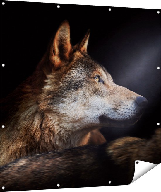 Gards Tuinposter Wolvenkop Met Een Zonnestraal Wolf 120x120 Cm gards-tuinposter-wolvenkop-met-een-zonnestraal-wolf-120x120-cm