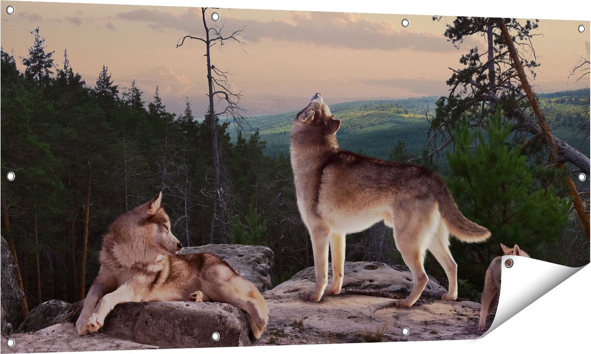 Gards Tuinposter Drie Wolven op een Rots in het Bos - 140x70 cm - Tuindoek - Tuindecoratie - Wanddecoratie buiten - Tuinschilderij Multikleur