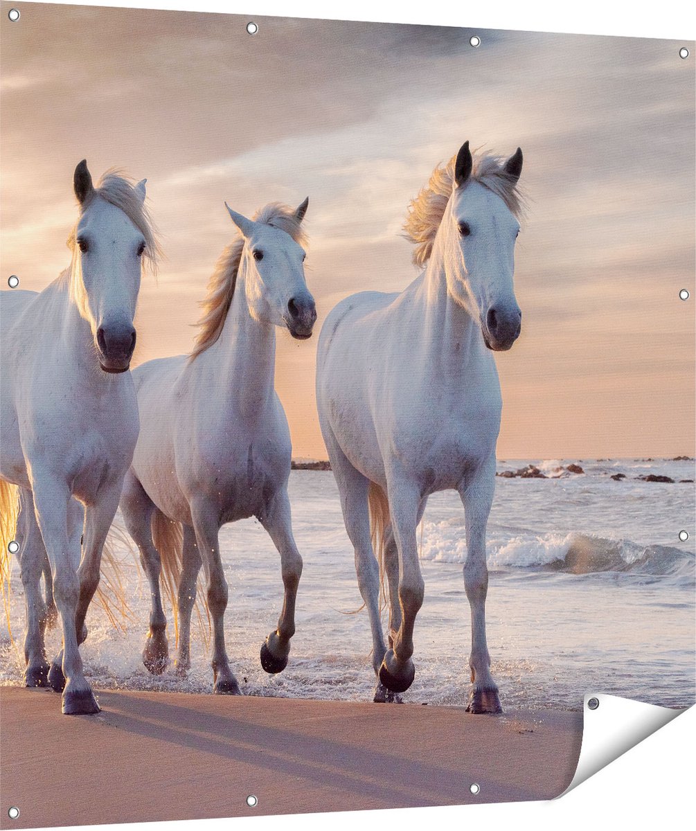 Gards Tuinposter Witte Paarden op het Strand bij Water - 120x120 cm - Tuindoek - Tuindecoratie - Wanddecoratie buiten - Tuinschilderij Multikleur