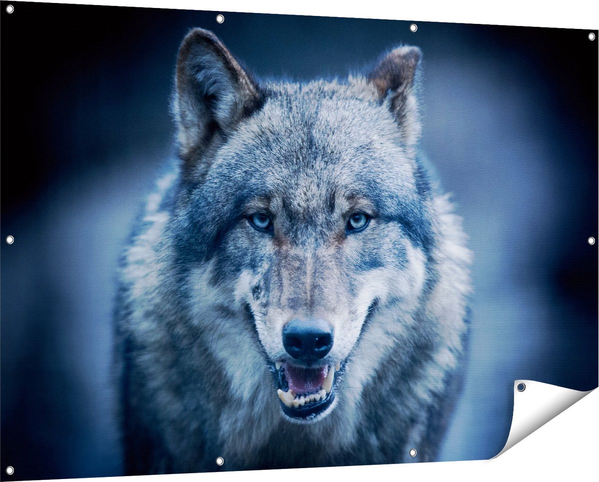 Gards Tuinposter Wolvenkop met Blauwe Ogen - Wolf - 150x100 cm - Tuindoek - Tuindecoratie - Wanddecoratie buiten - Tuinschilderij Multikleur