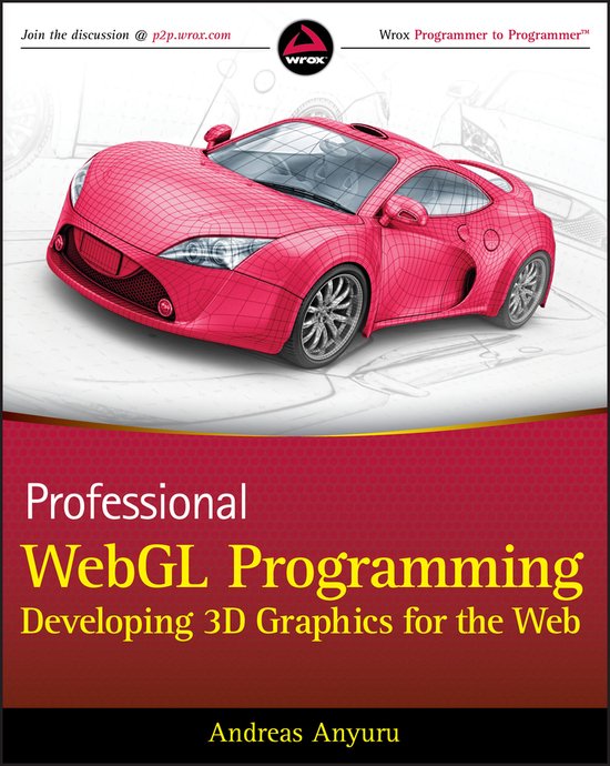 Professional Webgl Programming