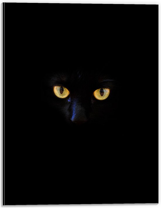 Dibond - Felgele Ogen van Zwarte Kat in Donkere Omgeving - 30x40 cm Foto op Aluminium (Wanddecoratie van metaal)