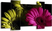 GroepArt - Schilderij - Bloem - Roze, Groen, Wit - 120x65 5Luik - Foto Op Canvas - GroepArt 6000+ Schilderijen 0p Canvas Art Collectie - Wanddecoratie