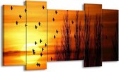 GroepArt - Schilderij - Vogels - Geel, Zwart - 120x65 5Luik - Foto Op Canvas - GroepArt 6000+ Schilderijen 0p Canvas Art Collectie - Wanddecoratie