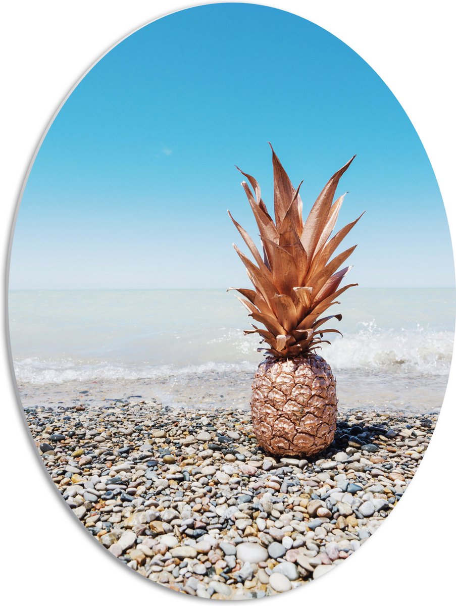 PVC Schuimplaat Ovaal - Ananas op Kiezelstenen - 51x68 cm Foto op Ovaal (Met Ophangsysteem)