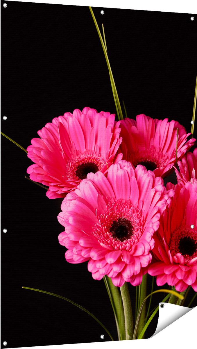 Gards Tuinposter Roze Gerbera Bloemen - 100x150 cm - Tuindoek - Tuindecoratie - Wanddecoratie buiten - Tuinschilderij Multikleur