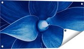 Gards Tuinposter Blauwe Agave Plant - Bloem - 80x40 cm - Tuindoek - Tuindecoratie - Wanddecoratie buiten - Tuinschilderij